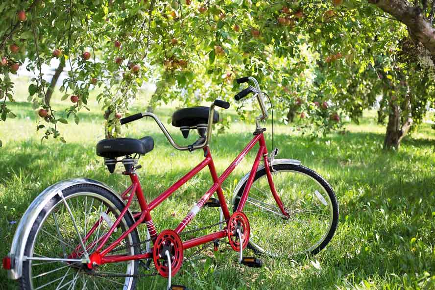 tandem-bike-buying-guide-top-10-best-tandem-bikes tandem-bike-buying-guide-top-10-best-tandem-bikes