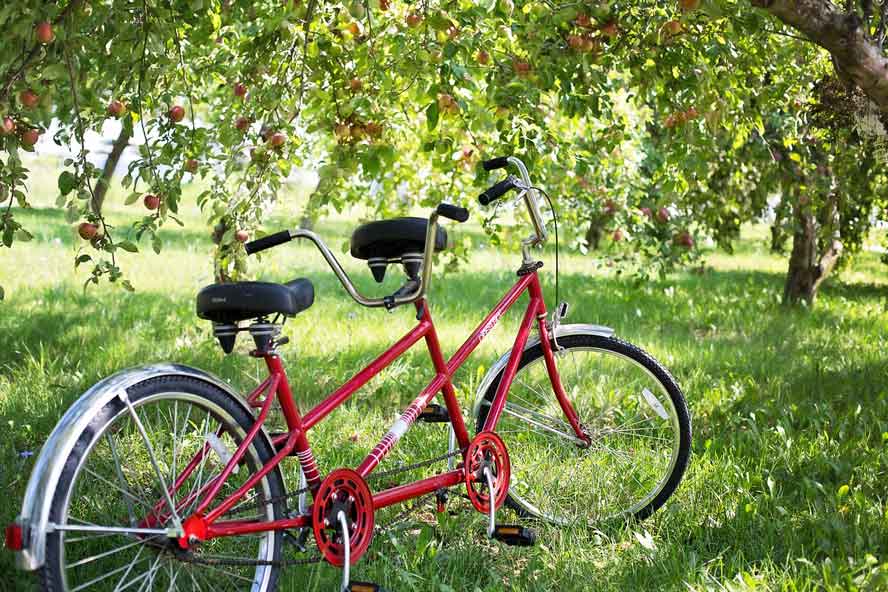 tandem-bike-buying-guide-top-10-best-tandem-bikes