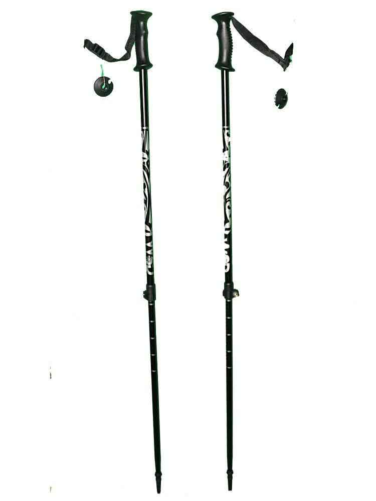 Best-Ski-Poles-Top_Ten Best-Ski-Poles-Top_Ten