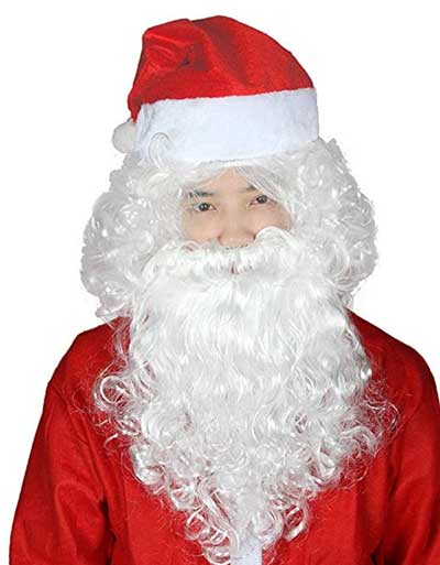 best-santa-claus-wig-and-beard-lulutus-review