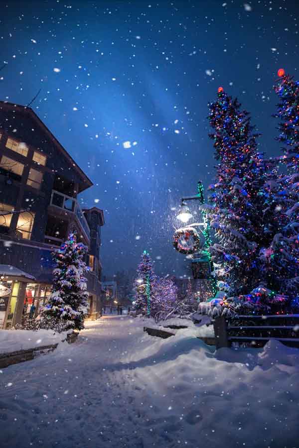 christmas-traditions-decorating-jammies-novels christmas-traditions-decorating-jammies-novels