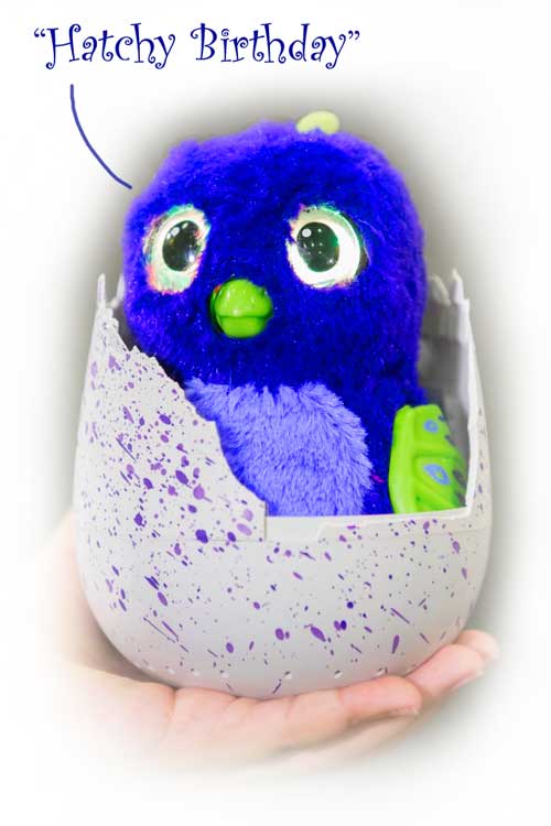 hatchimals-toy-hatchy-birthday-best-christmas-gift-2016-toy-top-10-best-christmas-toys-5-to-10-year-olds-best-gift-nurturing