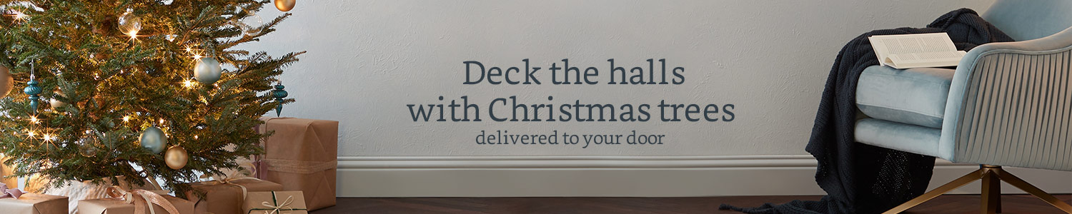 christmas trees home delivery amazon