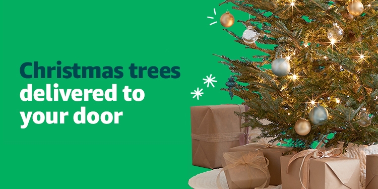 christmas trees home delivery door amazon