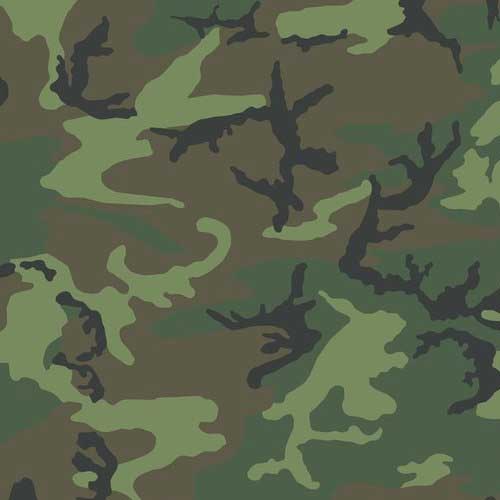 Camo-ERDL-Pattern