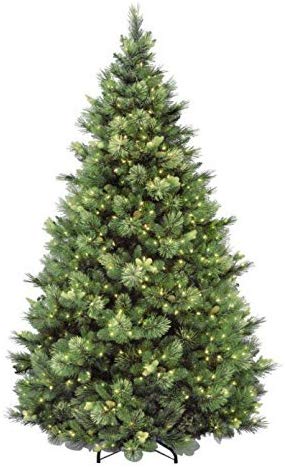 National Tree 7.5 Foot Carolina Pine Tree National Tree 7.5 Foot Carolina Pine Tree