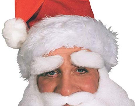 Rubie's Men's Santa Eyebrows