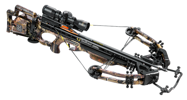 The Best Tenpoint Crossbows In 2023