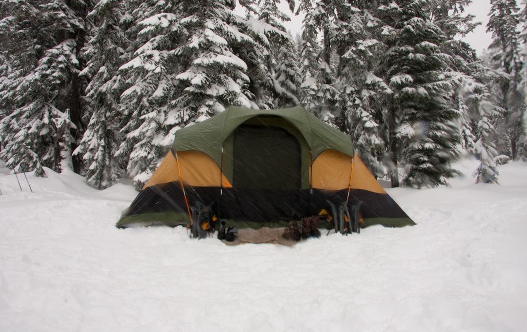 Photo Best Camping Mattress of 2024