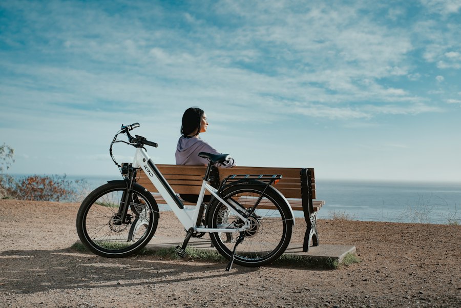 E-Bike Range