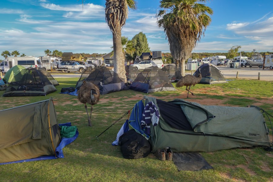 Photo Camping Cots