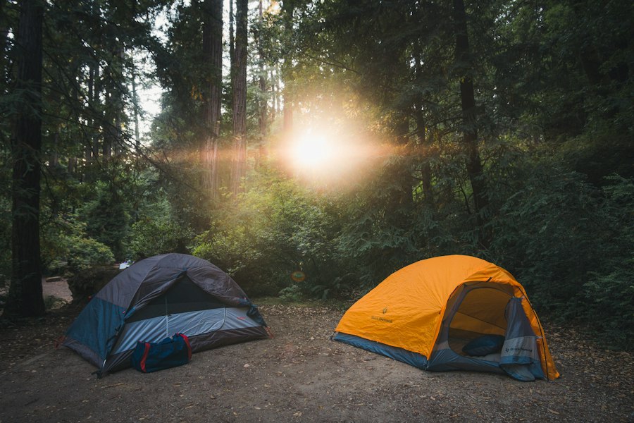 Camping Fans