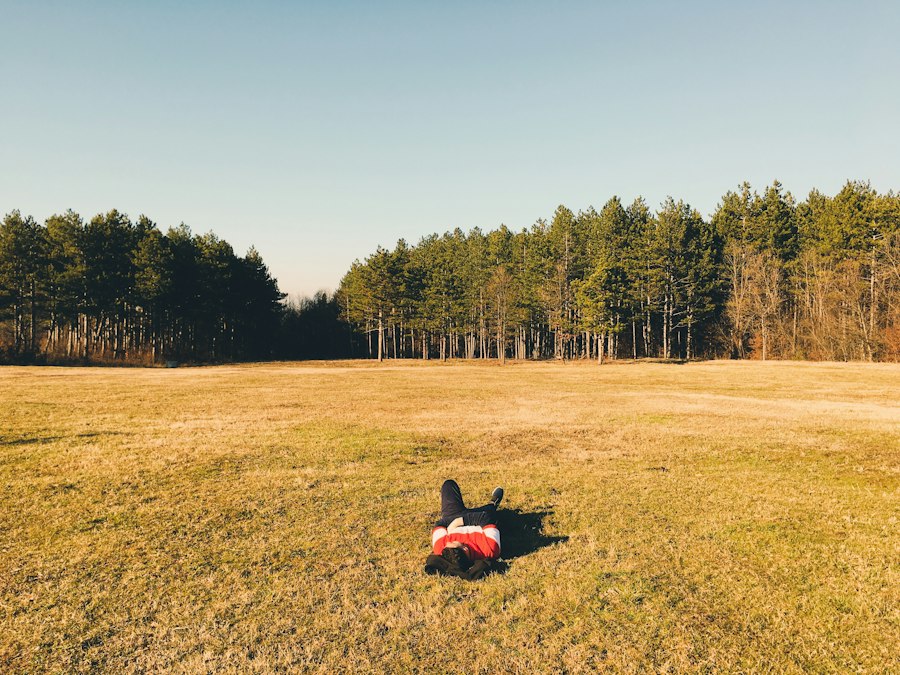 Photo Robot Mower