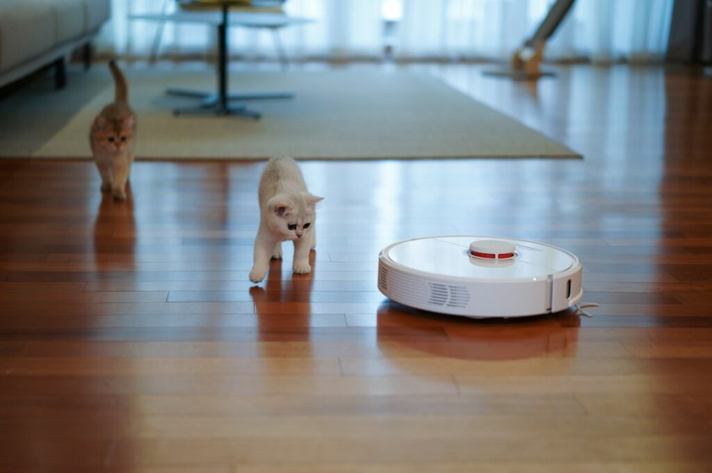 Photo Robot Vacuums