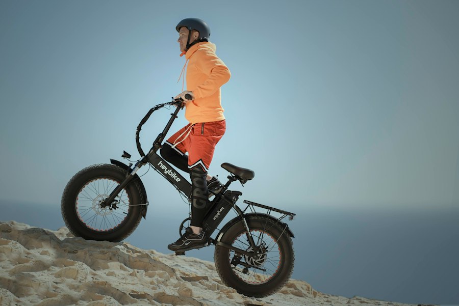 Photo Folding E-Bike