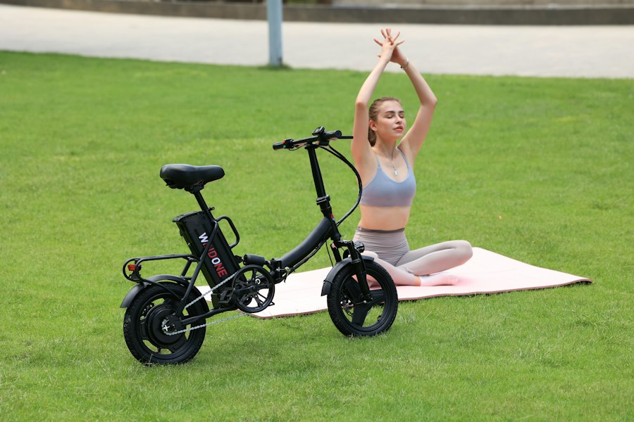 Folding E-Bike