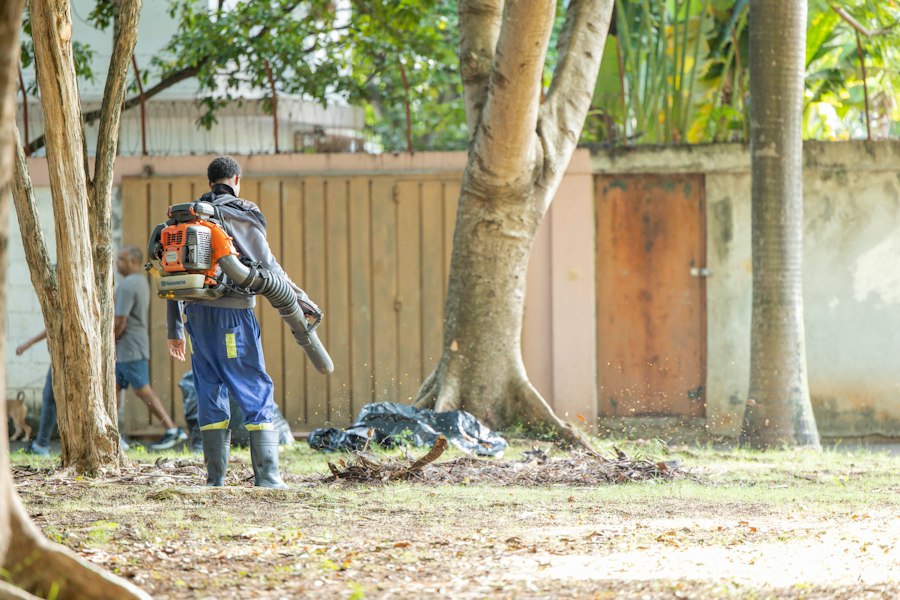 Photo lightweight leaf blowers for homeowners