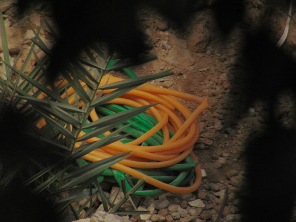 Photo best garden hoses top 10