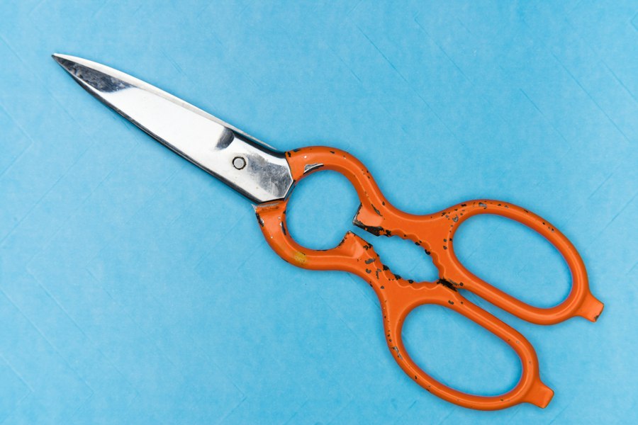 best string trimmers 2024