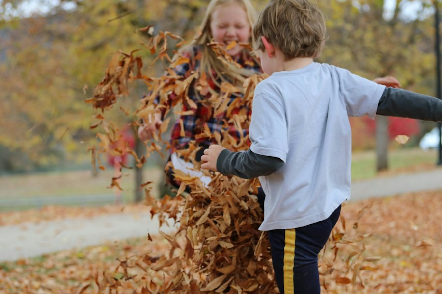 top 10 best leaf blowers