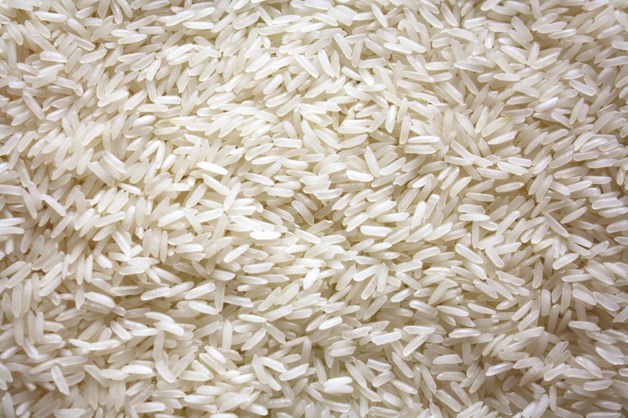 Photo best rice cookers 2024